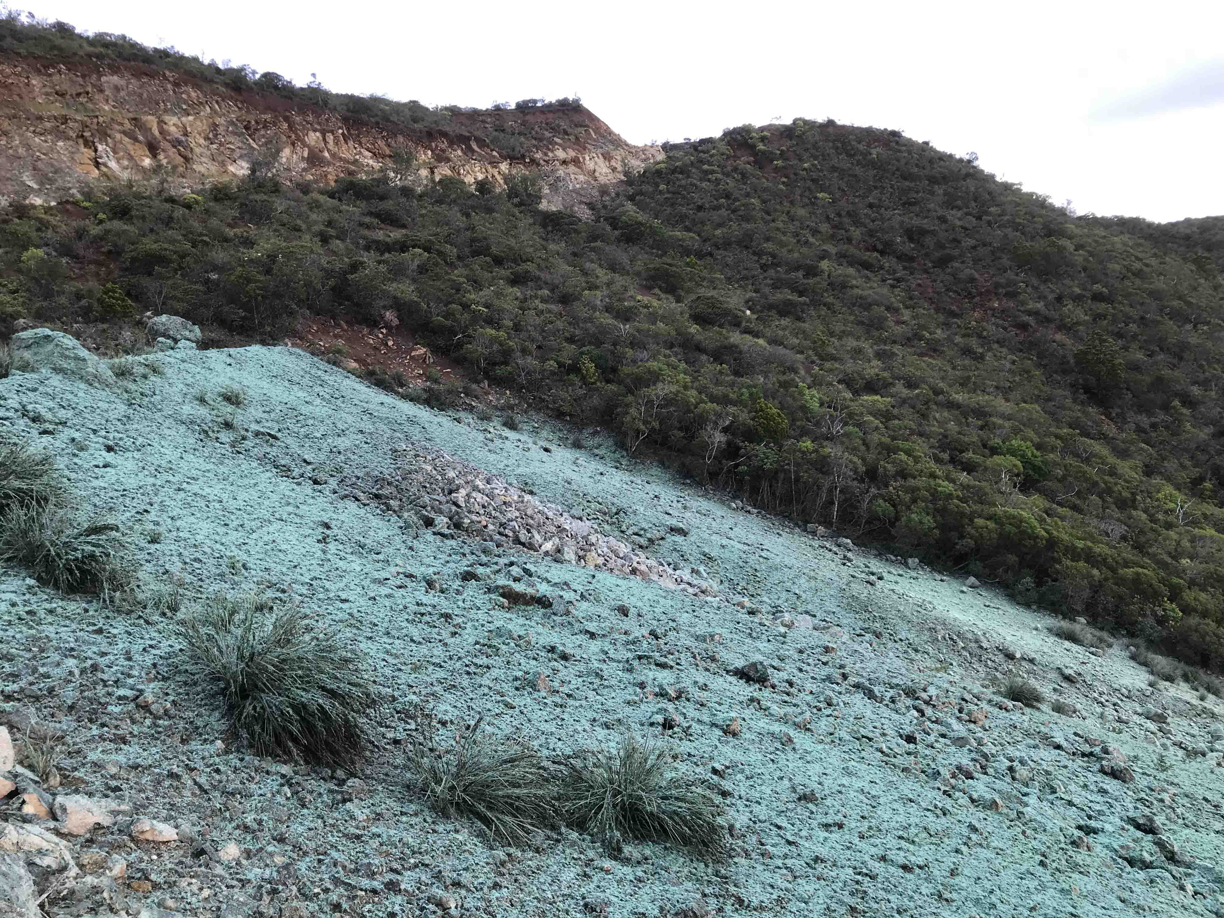 hydroseeding